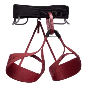 W Solution Harness Babsi Edition